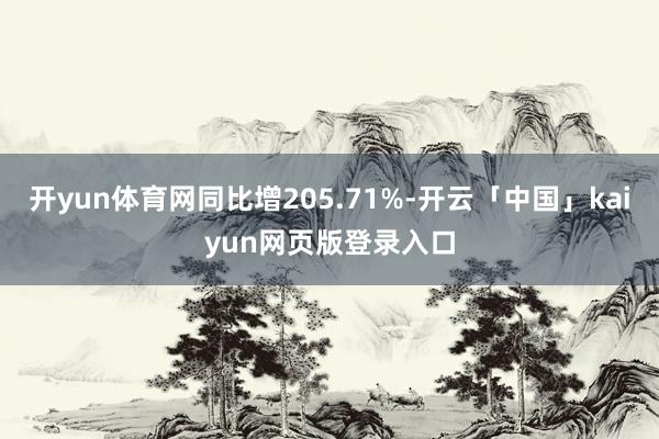 开yun体育网同比增205.71%-开云「中国」kaiyun网页版登录入口