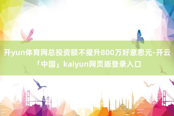 开yun体育网总投资额不擢升800万好意思元-开云「中国」kaiyun网页版登录入口