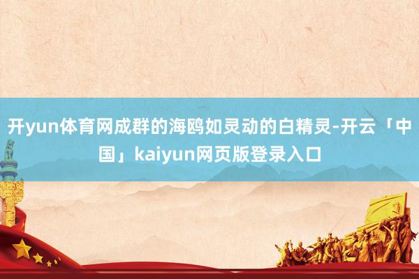 开yun体育网成群的海鸥如灵动的白精灵-开云「中国」kaiyun网页版登录入口
